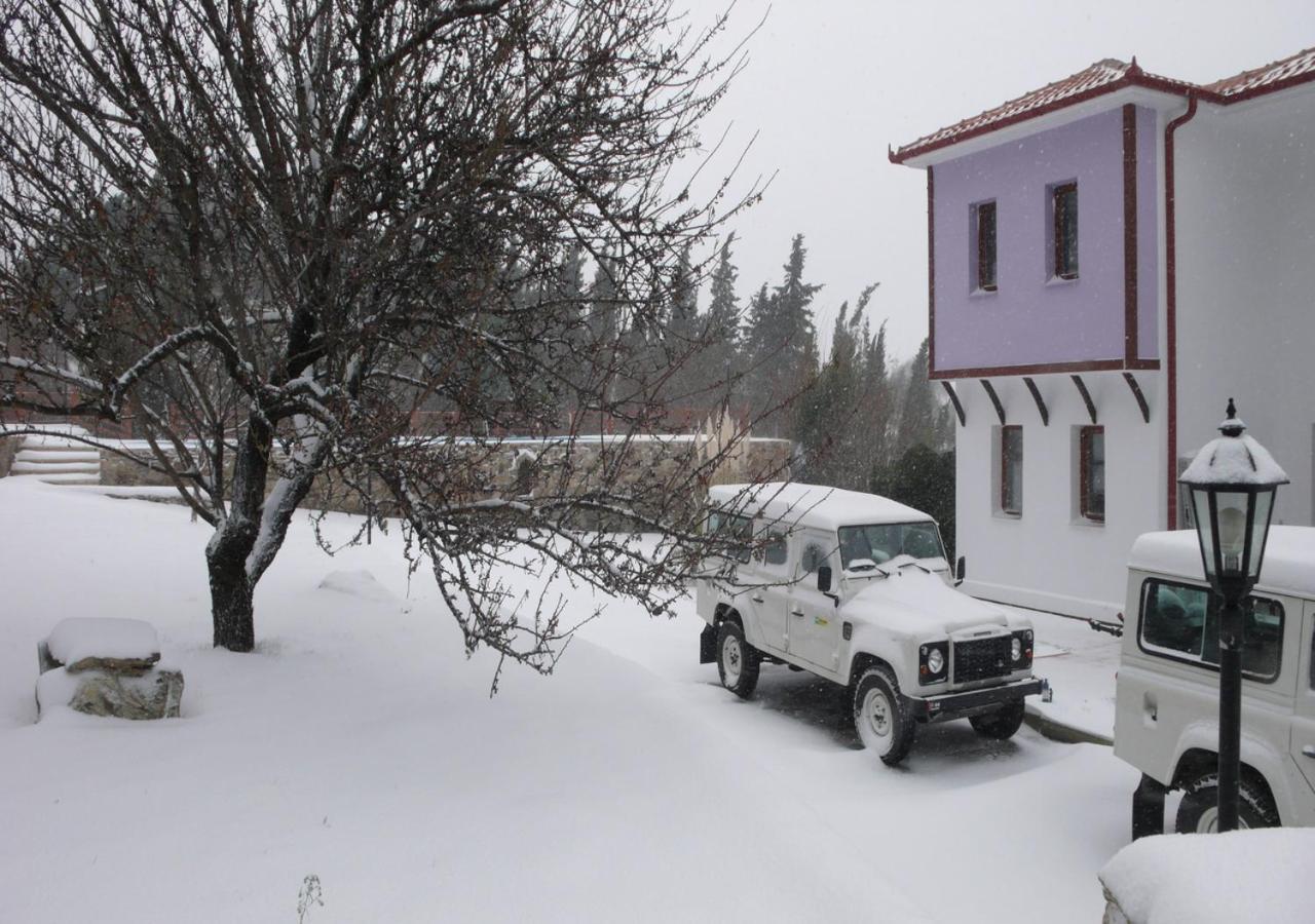 Roxani Country House Resort Maronía Kültér fotó